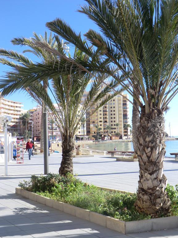 Casas Holiday - Playa Del Cura 2 Τορεβιέχα Δωμάτιο φωτογραφία